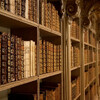 Библиотека дворца Мафры