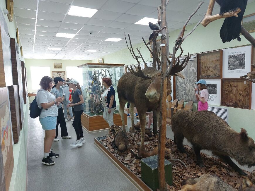 Экспонаты Музея природы заповедника