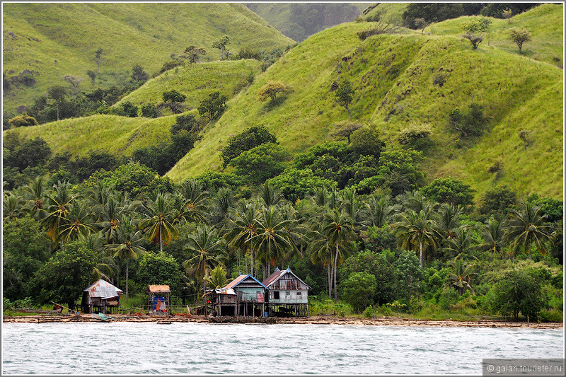 Двухнедельный трип по Индонезии: острова Флорес и Ринча