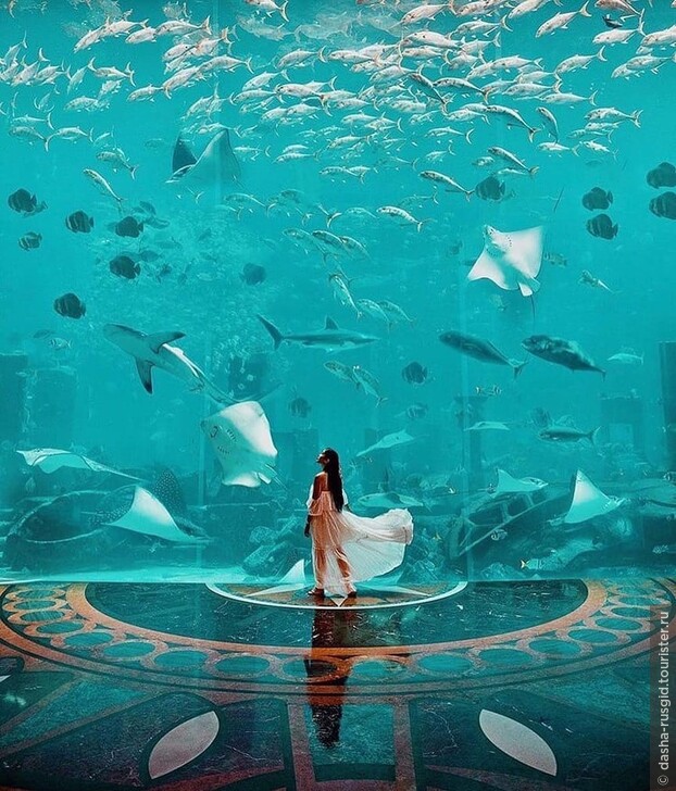 The Lost Chambers - аквариум в отеле Атлантис