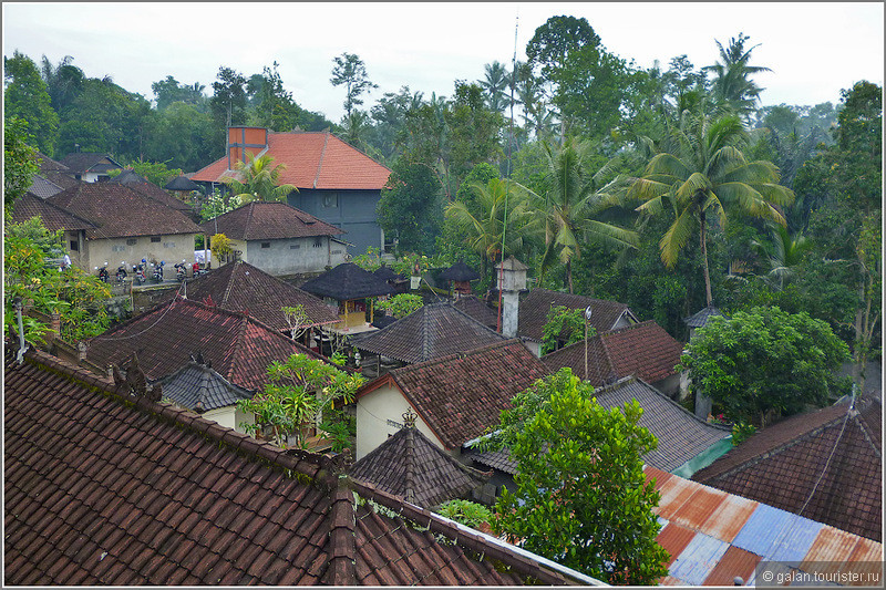 Двухнедельный трип по Индонезии: о.Бали, Убуд (часть1)