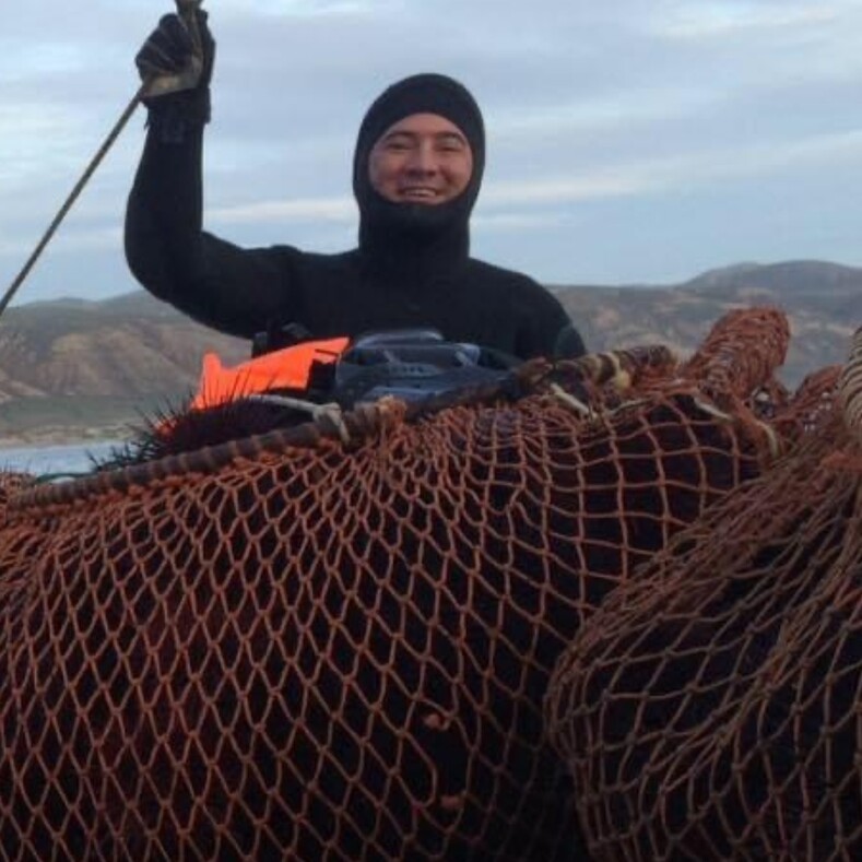 Тюлень спас рыбака, который случайно выпал из лодки и провел пять часов в ледяной воде, борясь за жизнь: невероятная история и фото