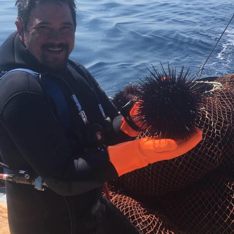 Тюлень спас рыбака, который случайно выпал из лодки и провел пять часов в ледяной воде, борясь за жизнь: невероятная история и фото