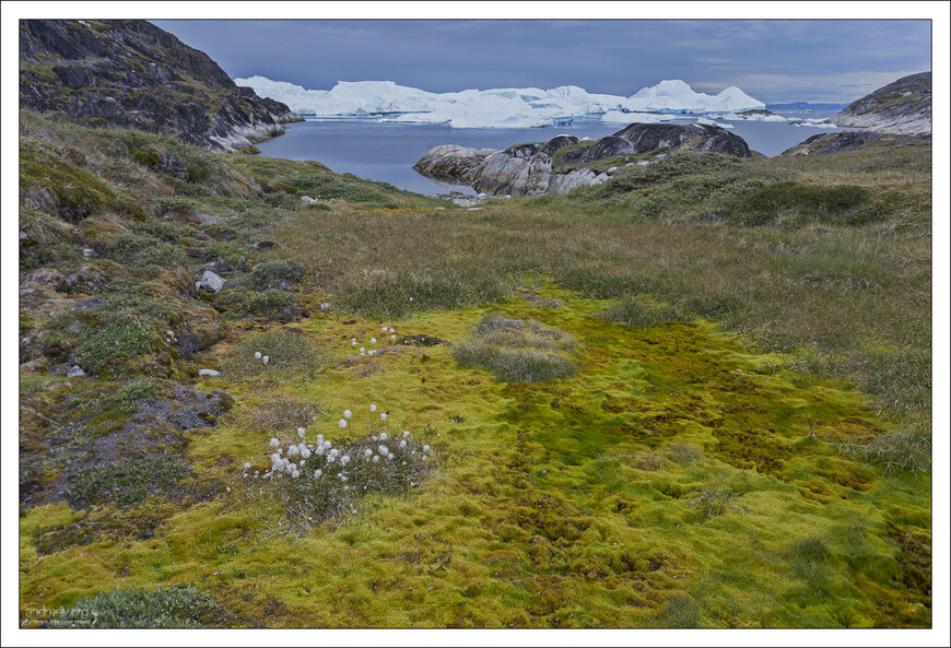 Кемпер-путешествие по Исландии, и кусочек Гренландии (14)
