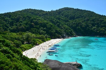 В Таиланде мошенники взломали систему Thailand Pass