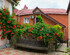 Red house Guest house