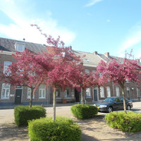Рурмонд,Нидерланды 2012