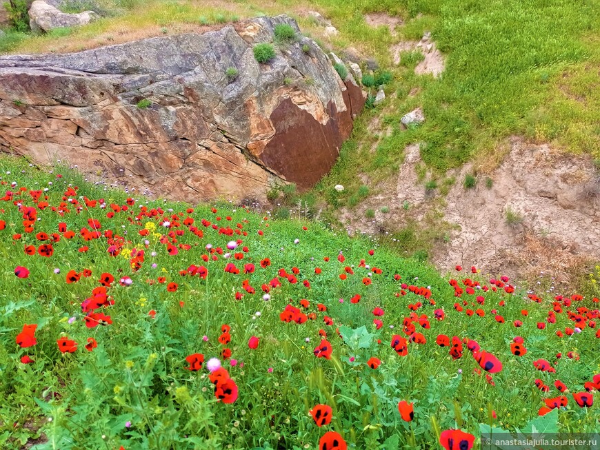 Эксклюзивный Дагестан: про великана и красавицу, песчаный бархан и маршрут к древним петроглифам