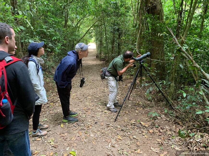 В поисках птичек (Bird-watching tour).