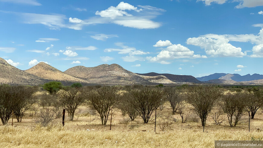 Намибия — другая Африка. Часть 1. Gamedrive или сафари по-нашему