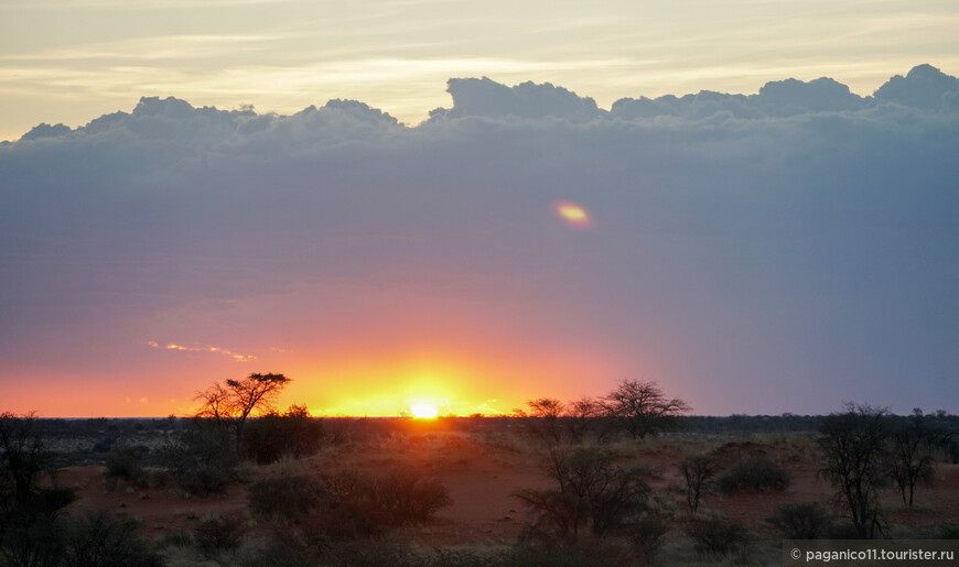 Намибия — другая Африка. Часть 1. Gamedrive или сафари по-нашему