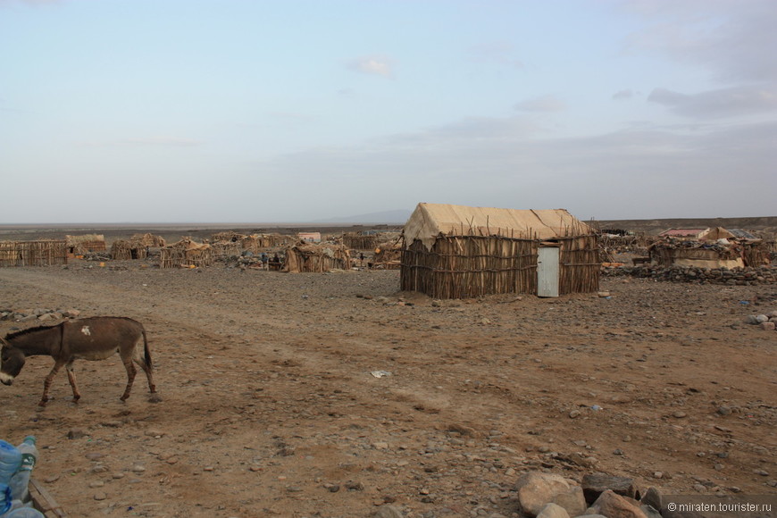 Зонтик в пустыне. Эфиопия-Кения-Ламу