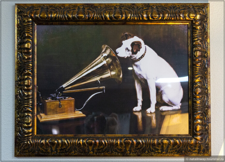 Рекламные кампании, в которых использовалось изображение Ниппера, имели ошеломляющий успех. Собачка украшала каждую пластинку, выпущенную «Компанией Граммофон», и вскоре сама фирма получила известность как HMV (His Master’s Voice – «Голос его хозяина»).