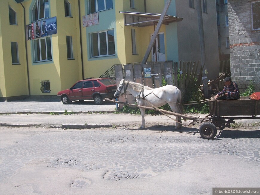 Посещение города Бережаны