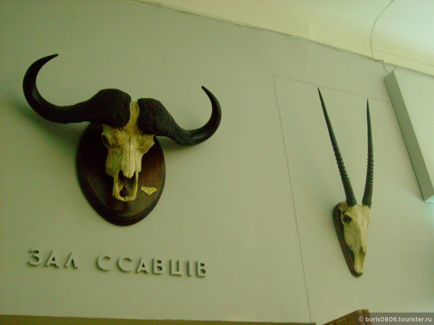 Занятный музей в центре города Киева
