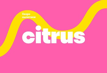 Запуск лоукостера Citrus от S7 приостановлен