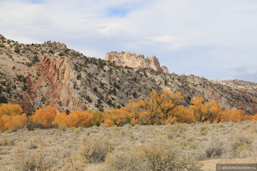 Осенние краски добавляют колорита к «петушиным» расцветкам скал.