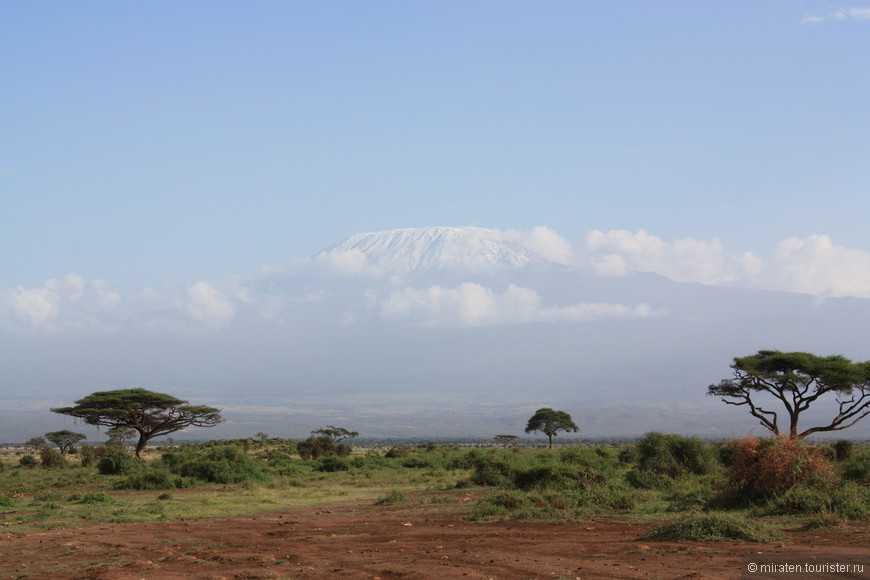 Зонтик в пустыне. Эфиопия-Кения-Ламу