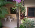 Baan Orchid Guesthouse Patong Beach