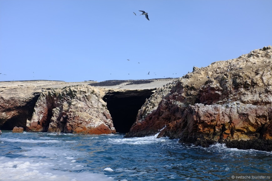 Острова птиц и морских тюленей