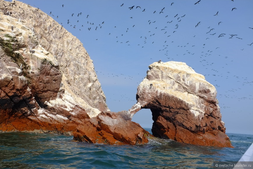 Острова птиц и морских тюленей