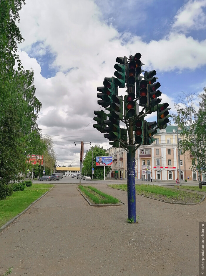 Светофорное дерево пенза железнодорожный район фото
