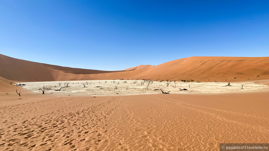 Намибия — другая Африка. Часть 3. Океан и Пустыня