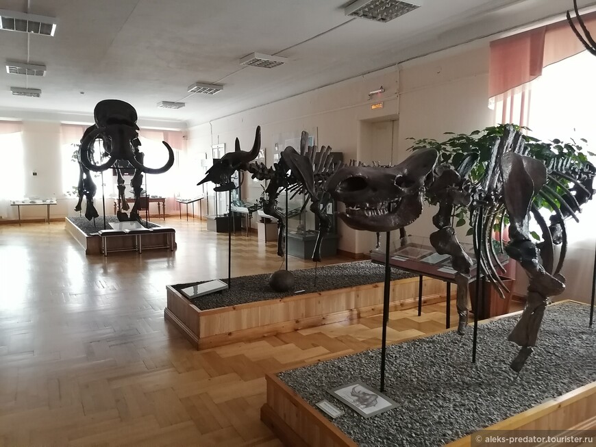 В Пензенском краеведческом музее