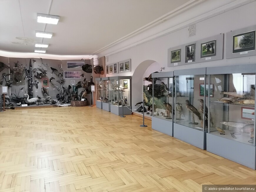 В Пензенском краеведческом музее