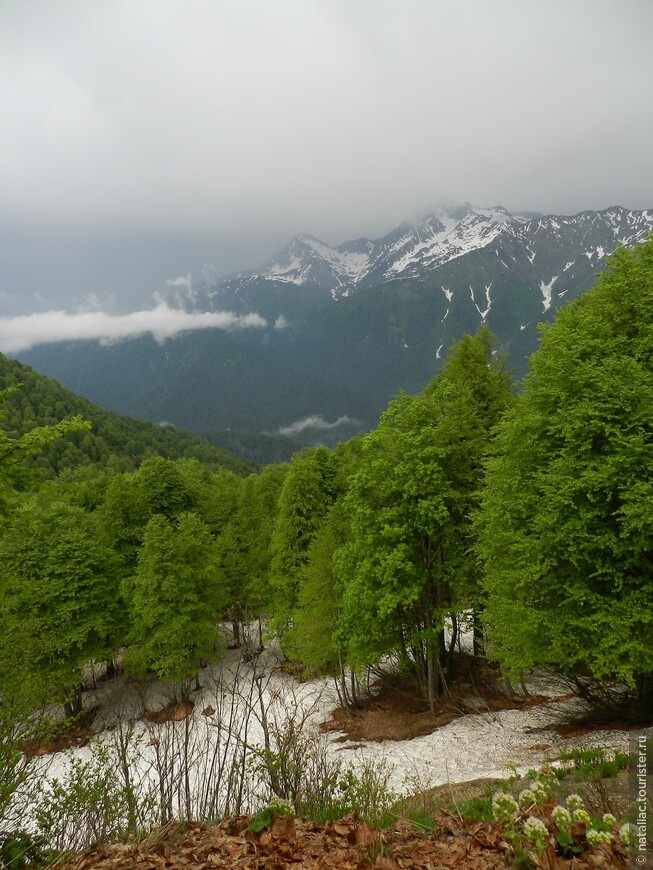 Юго-Западный Кавказ - горы, море, юбилей. Часть II.