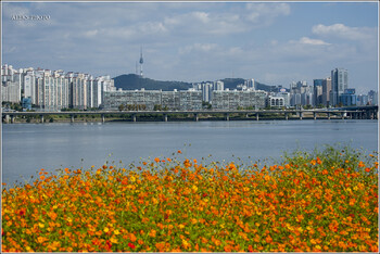 «ИрАэро» отменила первые рейсы в Сеул из-за отказа в допусках