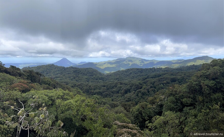 Коста-Рика: облачные леса Монтеверде, часть 1