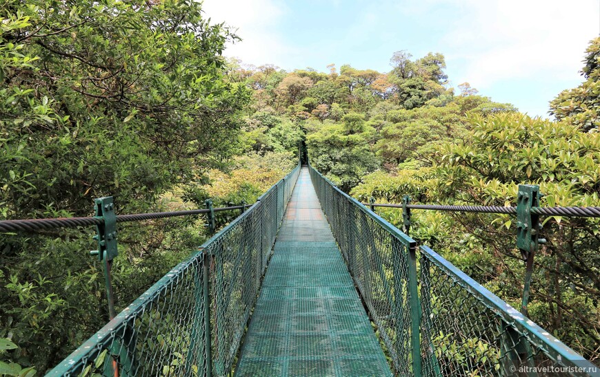Один из подвесных мостов в парке Сельватура.