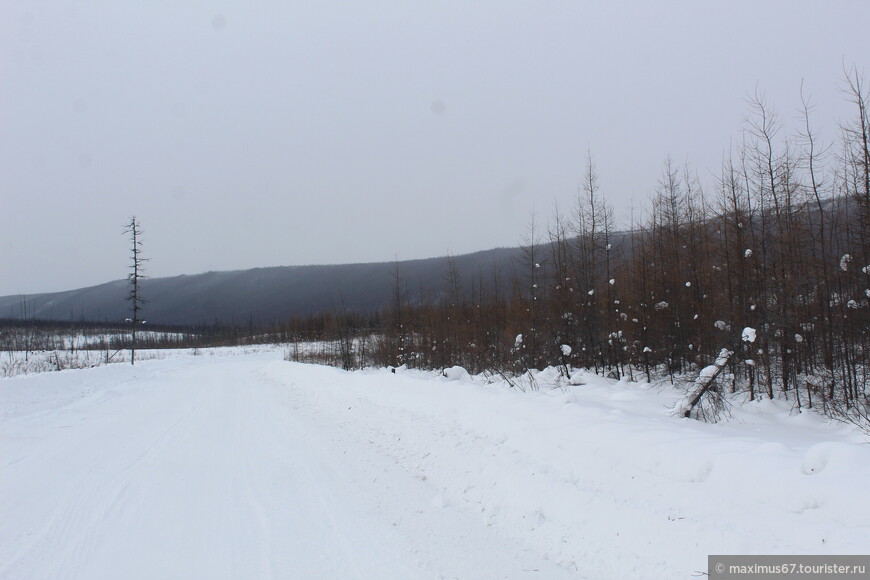 Белые снега северной широты. Ч - 8. Единственная дорога