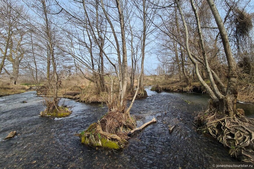 Устье лесной речки в Самурском лесу