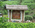 White House Adam's Peak