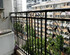 Zhu Guang Gao Pai International Apartment Hotel
