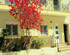 Old town Apartment