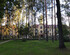 Апартаменты с садом Павловск