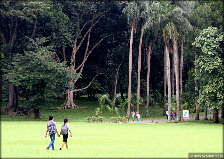 Ботаническое наследие Шри-Ланки