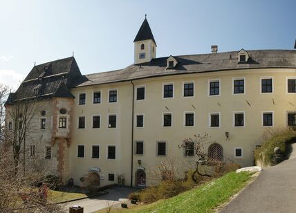 Schloss_Weiherburg_Innsbruck.jpg