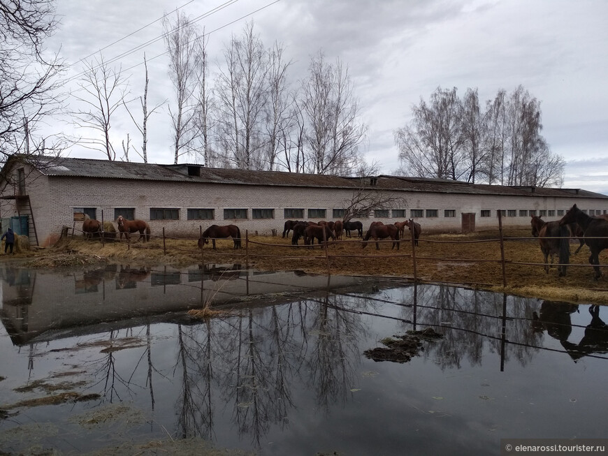 Печальная судьба одной усадьбы