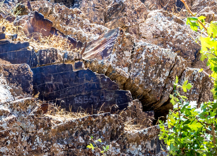 Сармышсой — один из крупнейших в мире заповедников петроглифов