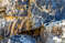 Сармышсой — один из крупнейших в мире заповедников петроглифов
