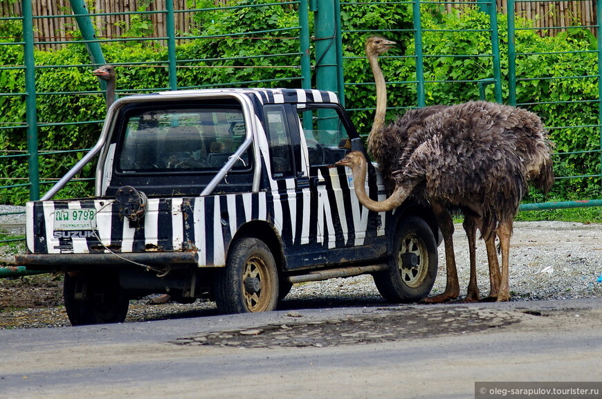 Летняя поездка в Тайланд (часть 2: Бангкок)