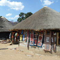 Замбия 2011