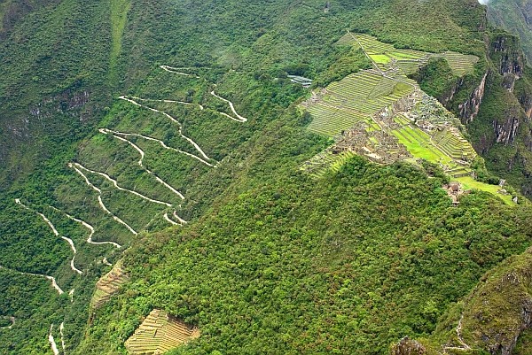 Перуанские ученые нашли древнюю тропу в Мачу-Пикчу