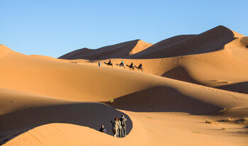 Власти Марокко открыли страну для непривитых туристов