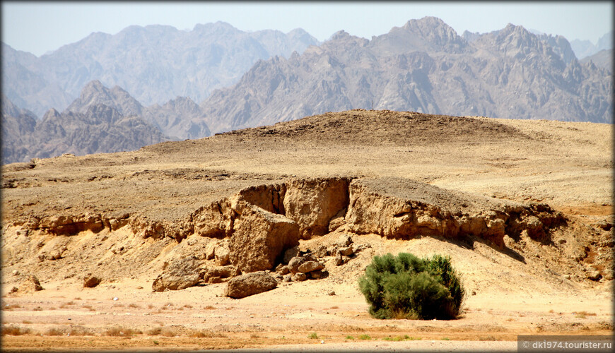 «Мыс Мохаммеда» — первый национальный парк Египта