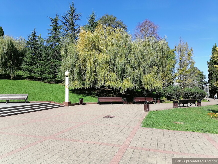 Безмолвие среди тихого шелеста деревьев у мемориального комплекса в Сочи
